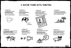 Что такое Баг