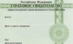 Что такое СНИЛС