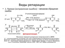 Репарации