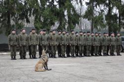 Гвардия