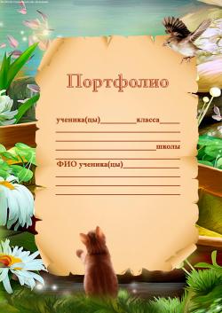 Что такое portfolio