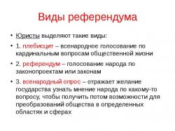 Плебисцит