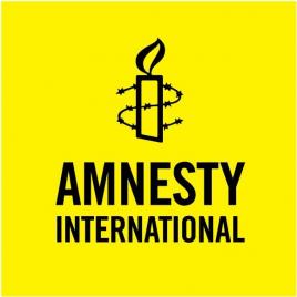 Что такое amnesty